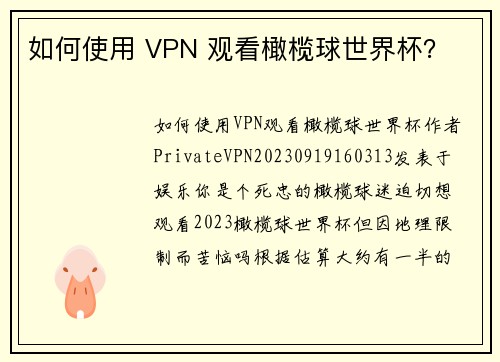 如何使用 VPN 观看橄榄球世界杯？