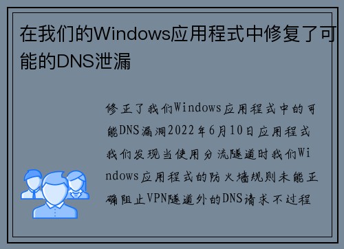 在我们的Windows应用程式中修复了可能的DNS泄漏 
